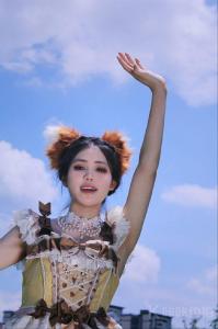 大鹅