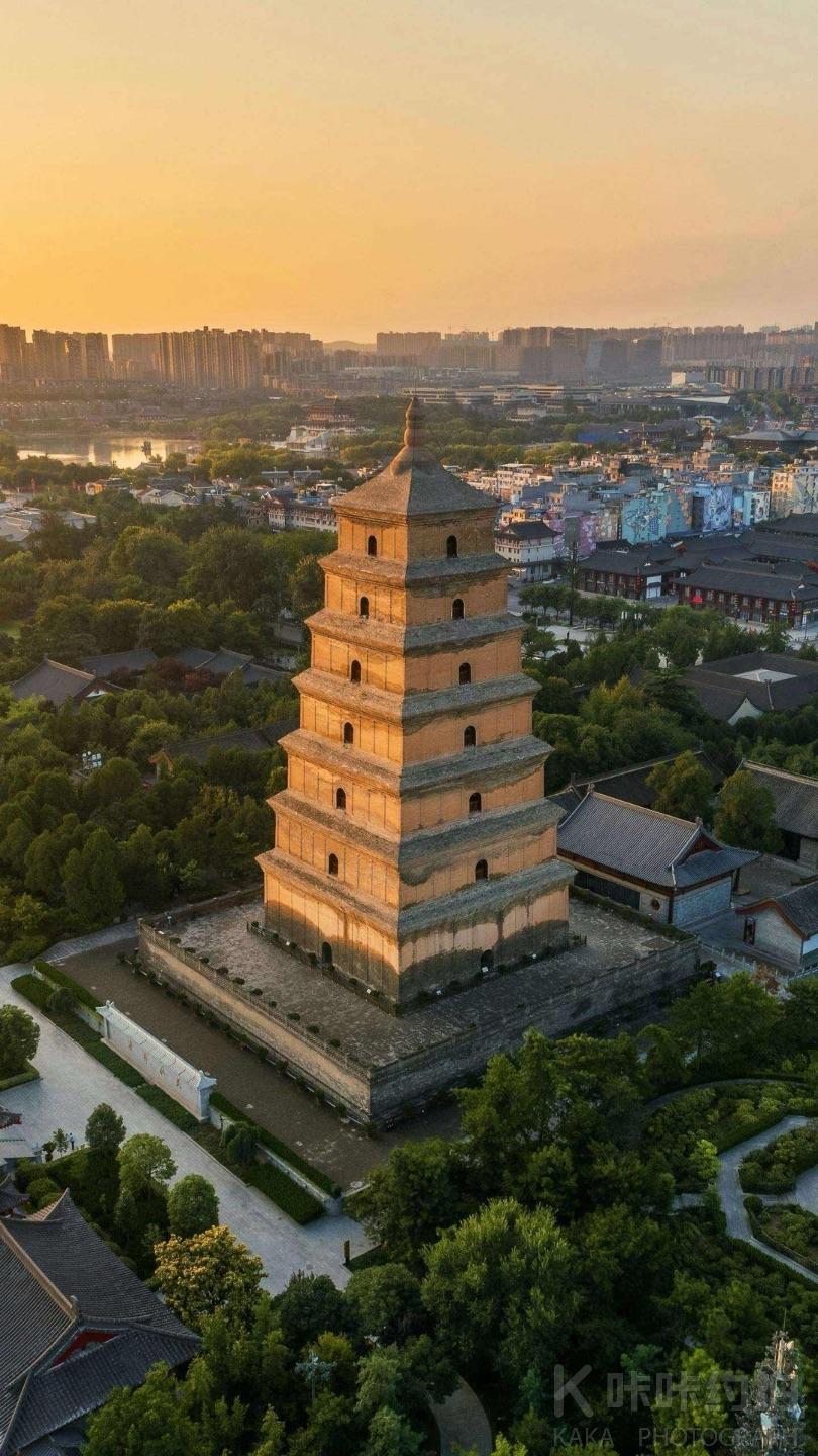 场地图 7