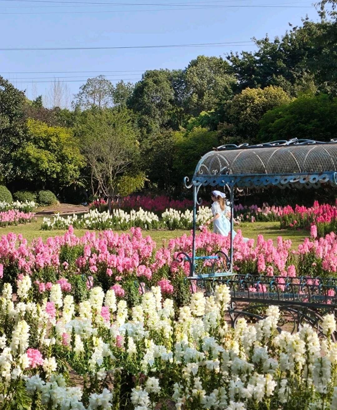 场地图 7